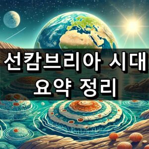 선캄브리아 시대 환경, 표준 화석등 쉬운 정리