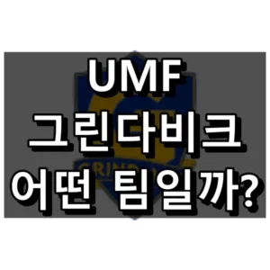 umf 그린다비크 대표 이미지