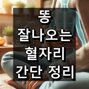 똥 잘나오는 혈자리 대표 이미지