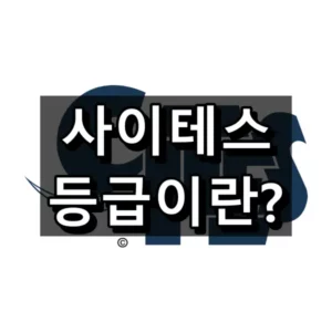 사이테스 등급 뜻