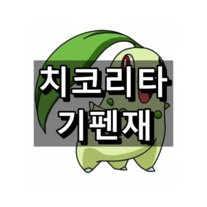 치코리타 기펜재 대표 이미지