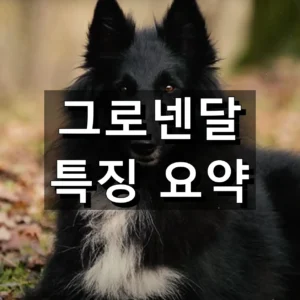 그로넨달 대표 이미지