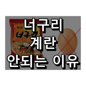 너구리 계란 안되는 이유 대표 이미지