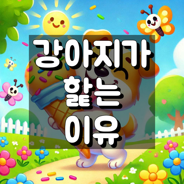강아지가 핥는 이유 대표 이미지
