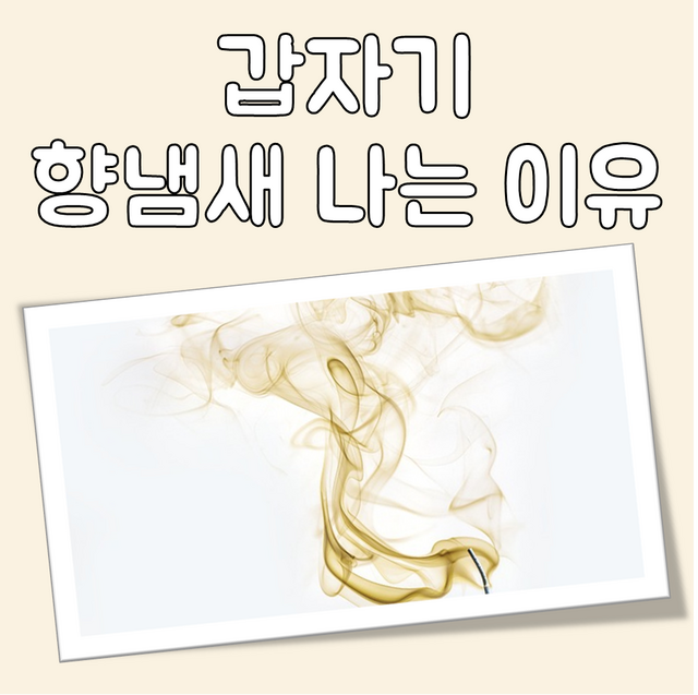 갑자기 향냄새 나는 이유 대표 이미지