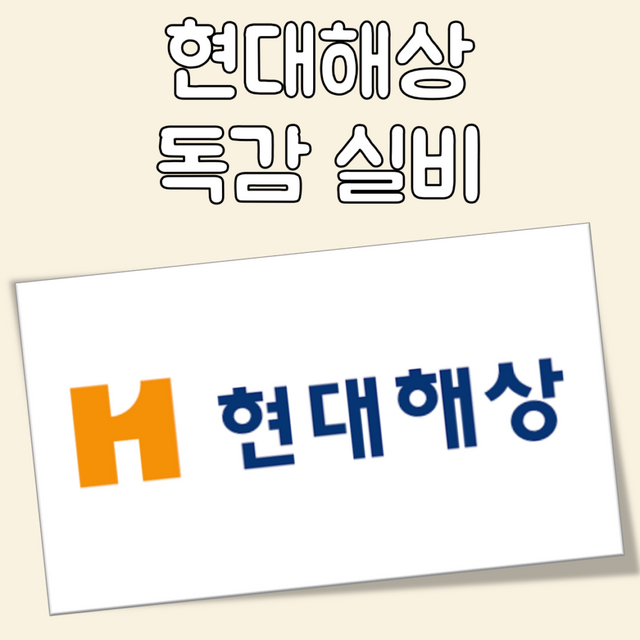 현대해상 독감 실비 대표 이미지