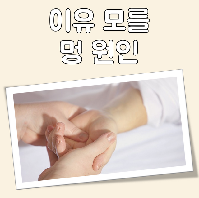이유 모를 멍 원인