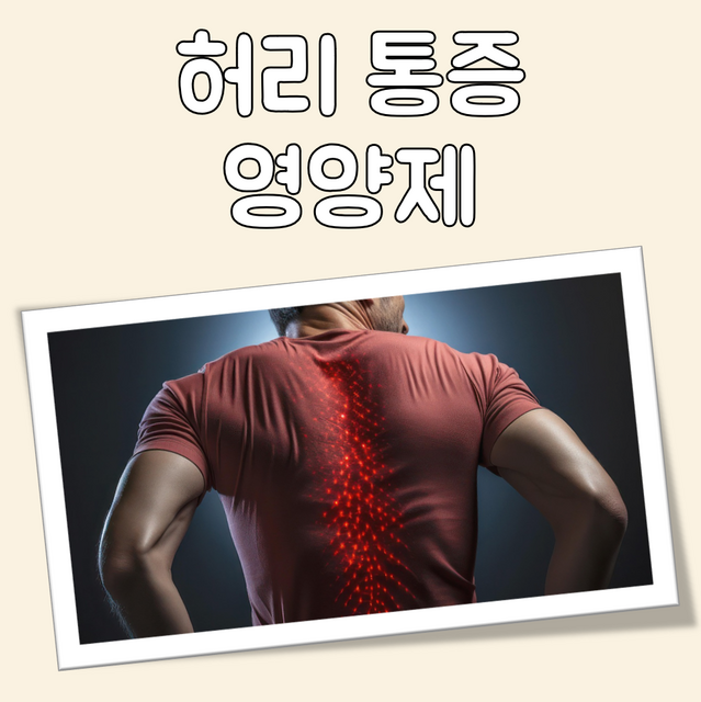 허리 통증 영양제 대표 이미지