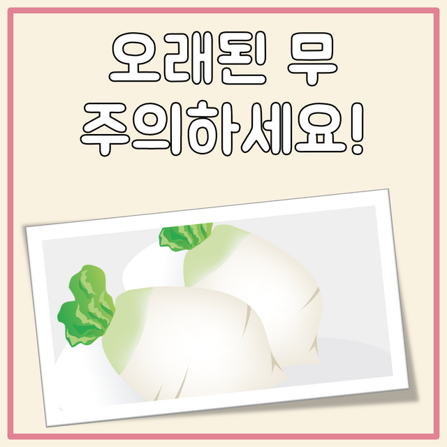 오래된 무 대표 이미지
