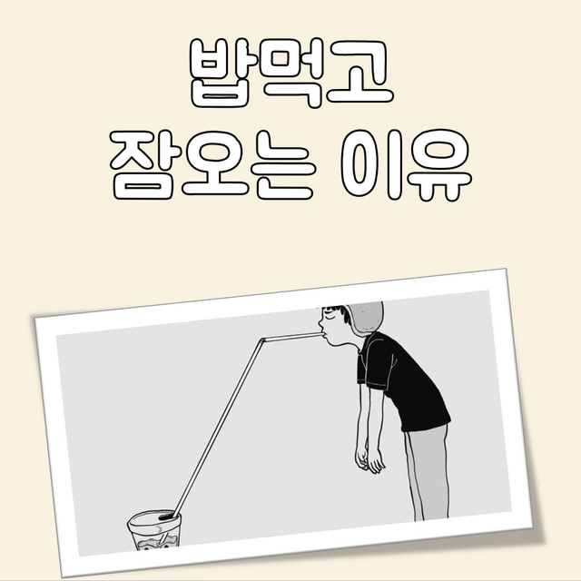 밥먹고 잠오는 이유 대표 이미지