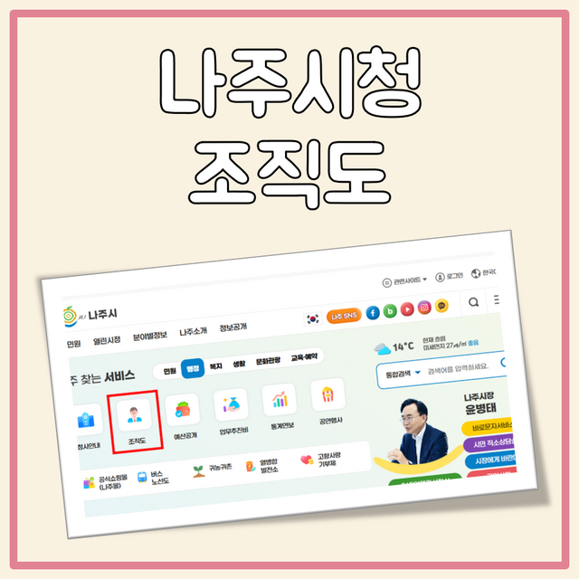 나주시청 조직도 대표 이미지