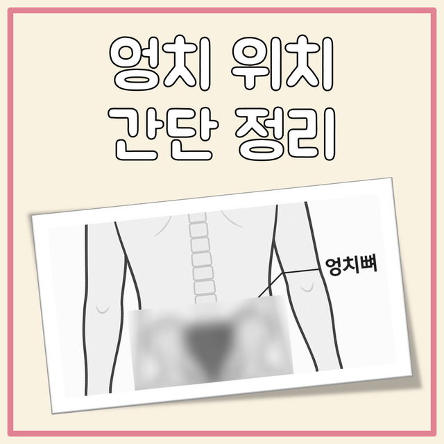 엉치 위치 대표 이미지