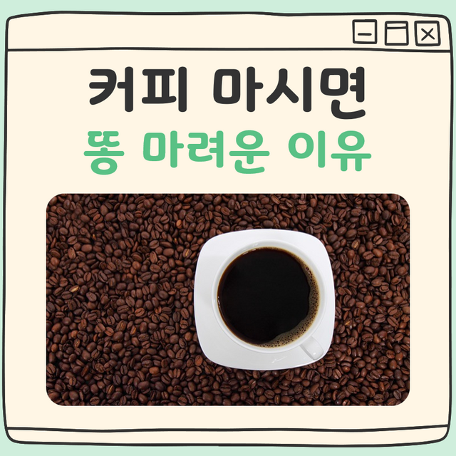 커피 마시면 똥 마려운 이유, 저만 그런거 아니죠?