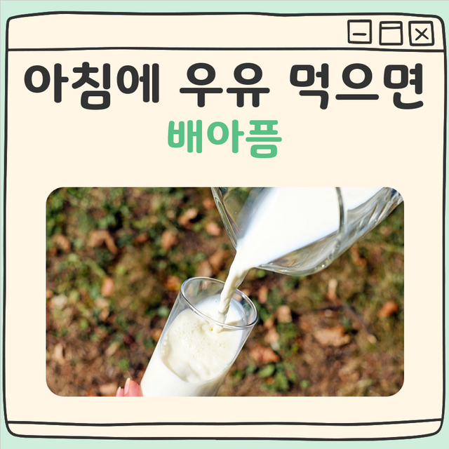 아침에 우유 먹으면 배아픔 대표 이미지