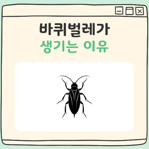바퀴벌레가 생기는 이유 대표 이미지