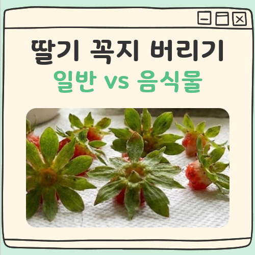 딸기 꼭지 버리기 대표 이미지