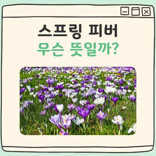 스프링 피버 뜻 대표 이미지