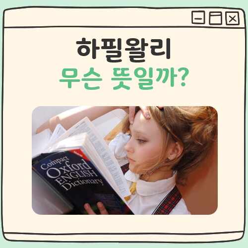 하필왈리 뜻 대표 이미지