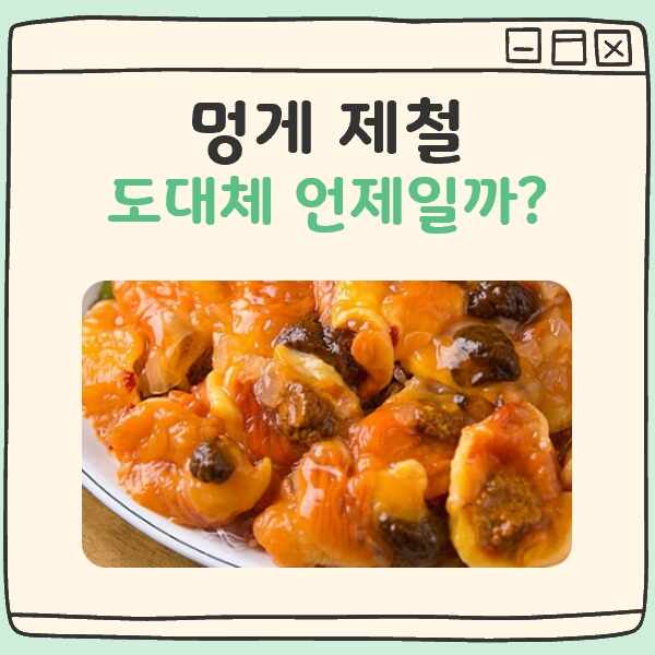 멍게 철 언제입니까 대표 이미지