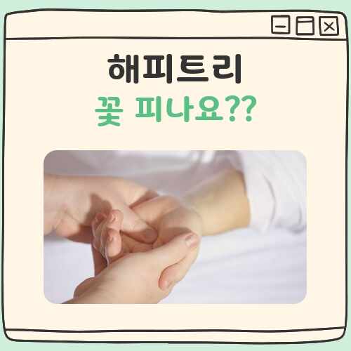 해피트리 꽃피나요